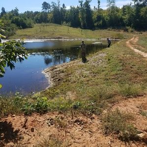 Meet your Posher, Mable